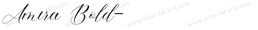Amira Bold字体转换
